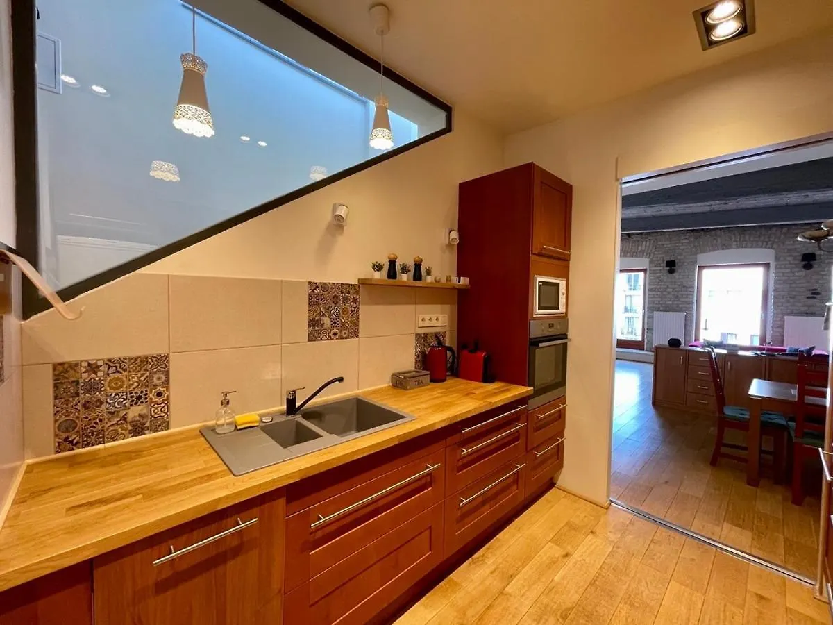Penthouse W Private Rooftop And Free Parking Budapest Hungary